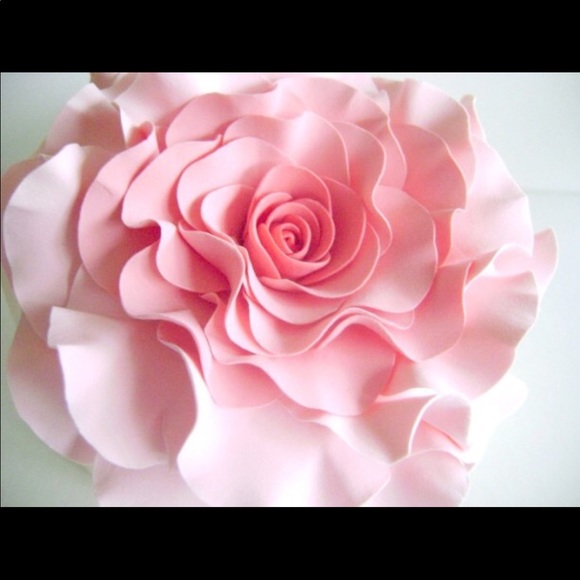 Meet your Posher, Jackieo - Picture 3 of 4